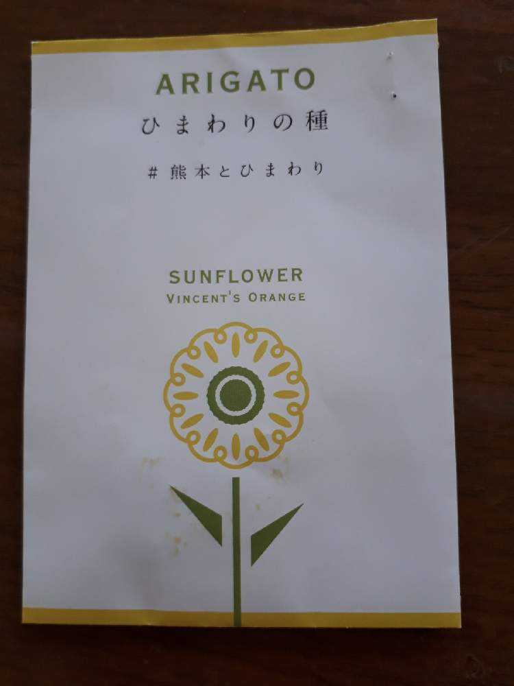 ひまわりの成長記録(#熊本とひまわり🌻)｜🍀GreenSnap（グリーンスナップ）