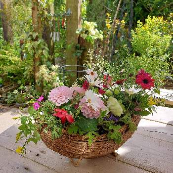 フラワーデザインの画像 by satonoさん | 小さな庭と春の花たちとGS映えとフラワーアレンジメントと花のある暮らしとお花とお花好きとフラワーデザイン