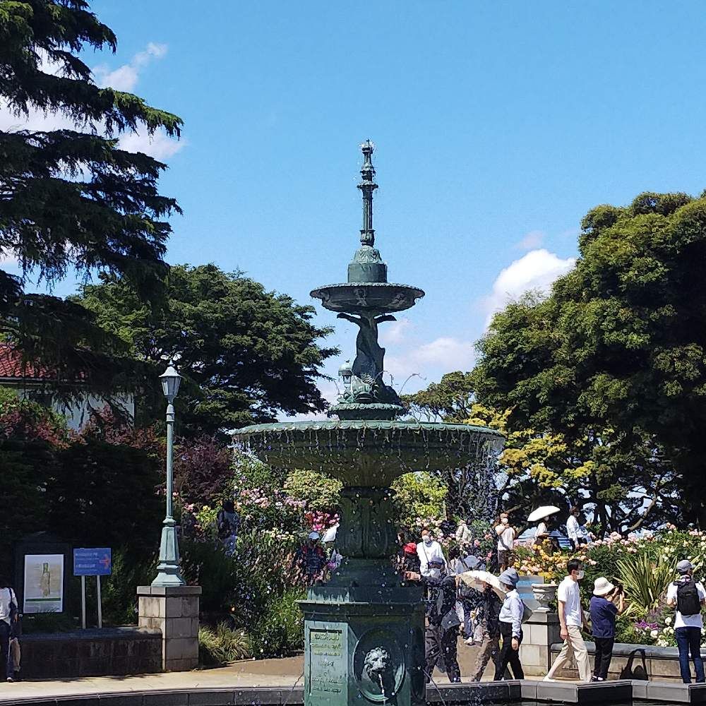 ゾフィーさんの港の見える丘公園へのレポート