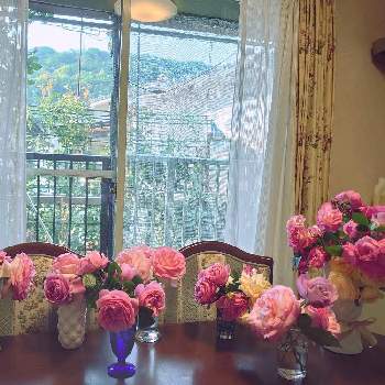 幸せな日の画像 by 天空のバラの五線譜さん | キッチンと花のある暮らしとバラ・ミニバラと花色癒しと幸せな日