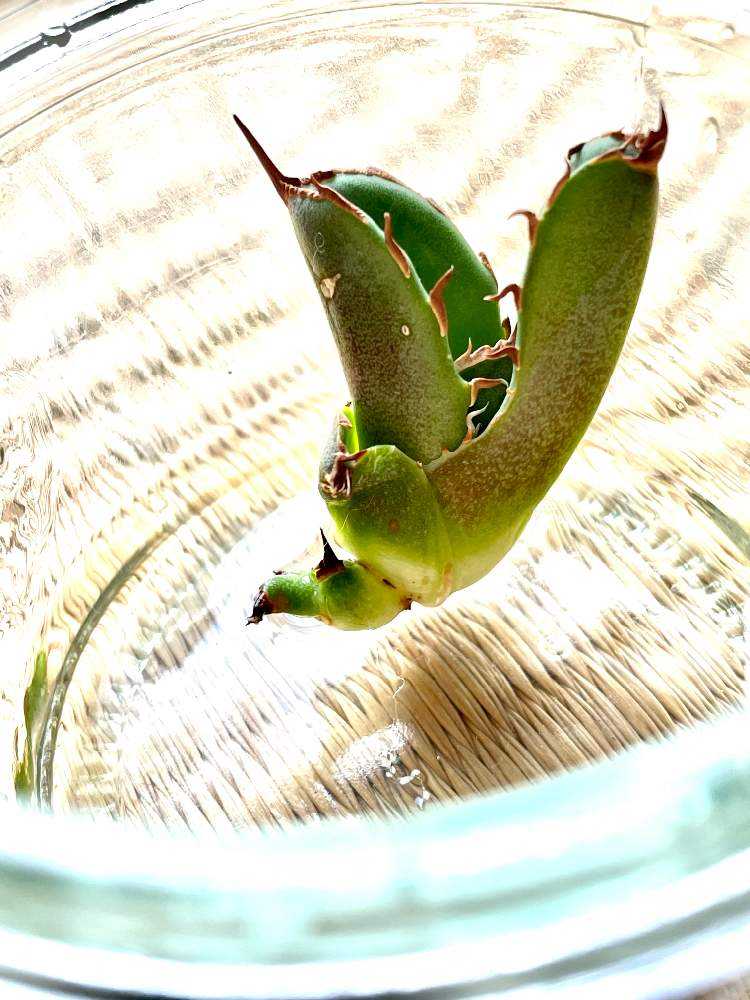 1653287148842_thum_729871_phot