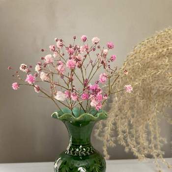 切花の画像 by しょうがせんべいさん | 部屋とシュッコンカスミソウと切花とピンクのお花