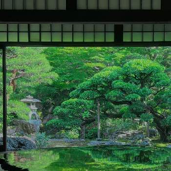 京都の画像 by *hirorin*さん | お出かけ先と新緑の５月とそうだ京都、行こうと旧邸御室と新緑の季節とリフレクションと新緑と深緑の薫と庭園と京都と深緑と特別公開と京都観光と日本庭園