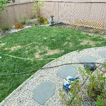 芝生,初心者,春の庭仕事,カナダ,北米の画像