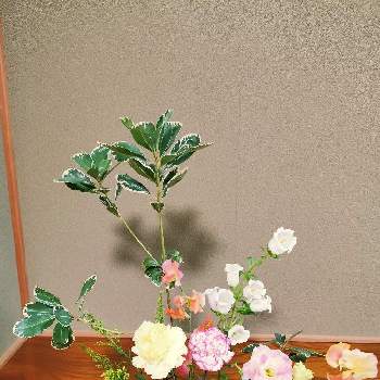華道の画像 by てーちゃんさん | 和室とジャイアントピットとスィートピーとフラワーアレンジメントと華道といけばなと花のある暮らし