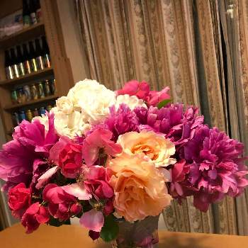 芍薬の花の画像 by tomatomato  さん | 原種の薔薇と白薔薇.とバラ アプリコットネクターと芍薬の花とアンジェラ  バラ