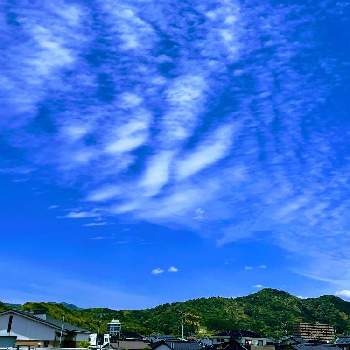 空撮りの画像 by m＆oさん | お出かけ先と雲撮りと雲仲間と空撮りと朝の散歩道とひめやま橋から