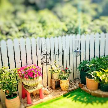 サフィニア ブーケの画像 by hanさん | 小さな庭とバラとカーネーションとクリスマスローズとサフィニア ブーケとIKEAと白フェンス