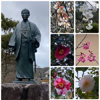 下関市 東行庵の投稿画像一覧 Greensnap グリーンスナップ