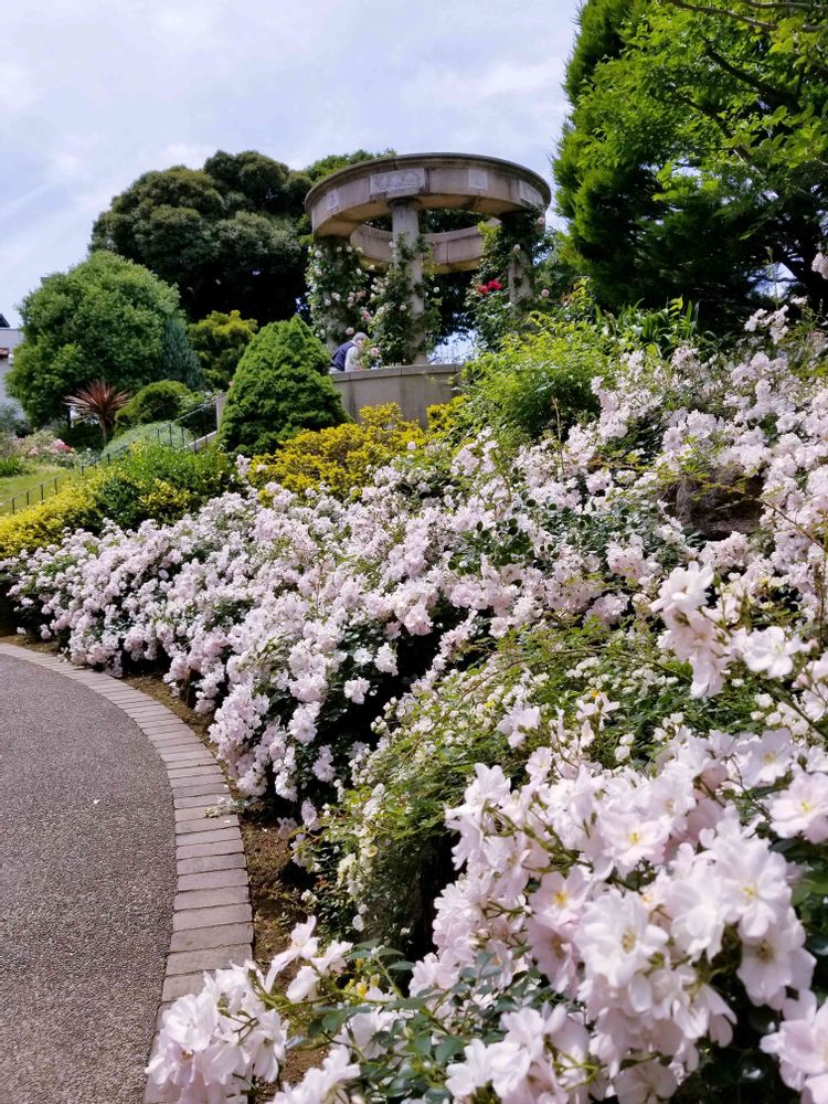 エリィさんの港の見える丘公園への投稿