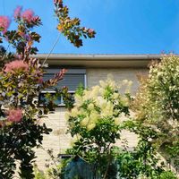 スモーク・ツリー,ティーツリー,小さな幸せ♡,白って綺麗だね,雲仲間の画像