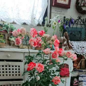 癒やされますの画像 by のりりんの森さん | 玄関と薔薇　アンドレルノートルと薔薇 オレンジスプラッシュと薔薇 ビアン ヴニュとバラはいいなぁと薔薇愛同盟と大好きなお花達と可愛いなぁ❤️と癒やされますと花いろいろと綺麗だなぁ