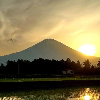 富士山の見える景色の画像 by ひみつのアッコちゃんさん | お出かけ先と夕陽と逆さ富士と鷺と里山の風景と富士山の見える景色と富士山と鳥たちと富士山と夕陽と世界文化遺産と私のお気に入りと美しい富士山