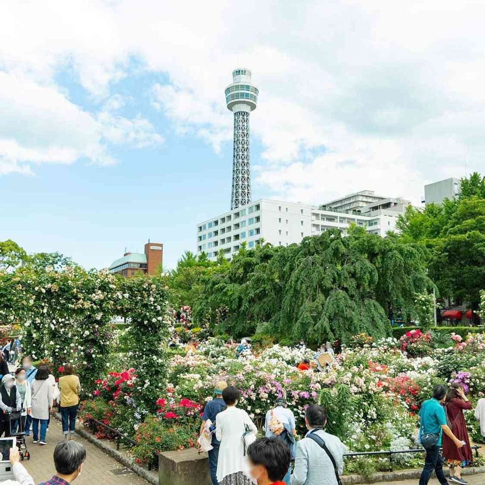 【公式】ガーデンネックレス横浜さんの山下公園への投稿