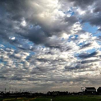 雲仲間の画像 by るさぽんさん | お出かけ先と朝焼けと雲仲間とワイドの世界