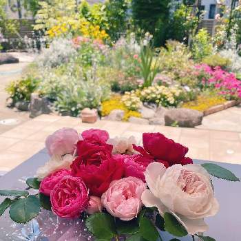 3年目の画像 by ボンバーケイさん | テラスとみんなで力を合わせてと風に吹かれてと3年目とおうち園芸と赤い花と花いろいろとピンク色のお花と白い花と甘い香りとこれから楽しみ！