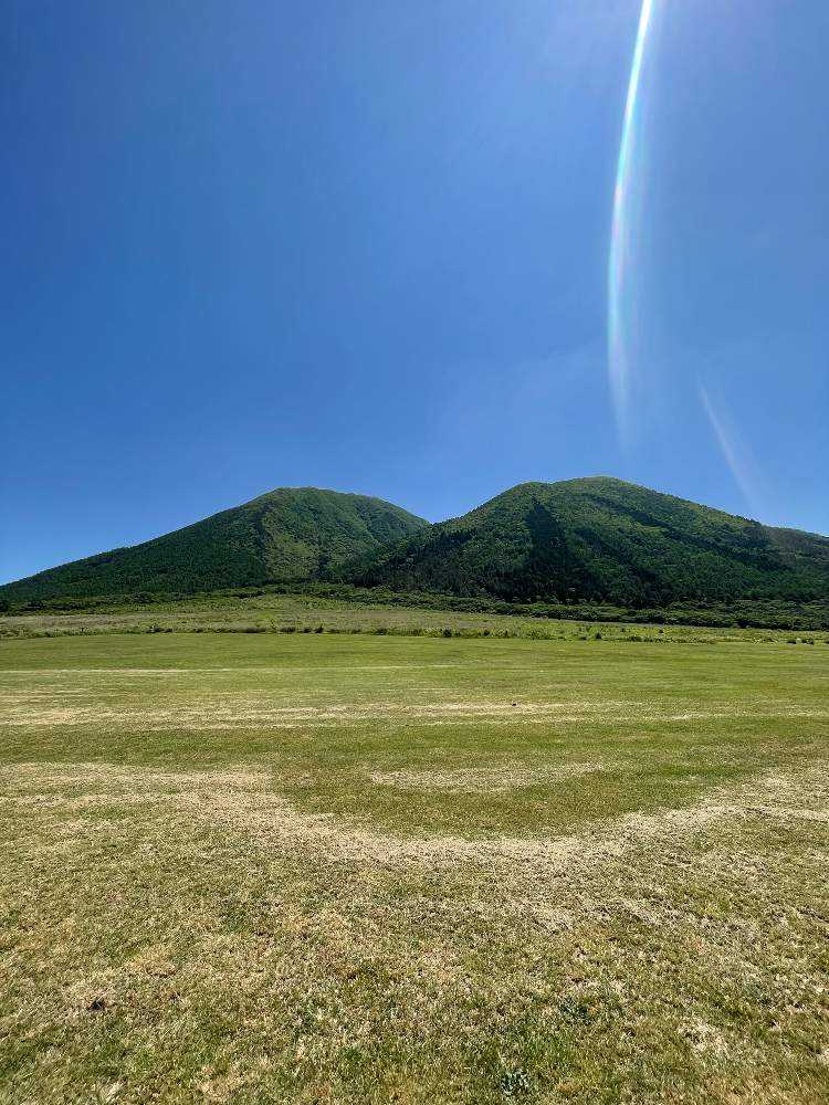 ダイセンクワガタに逢いに鳥取大山ではなく島根三瓶山へ｜🍀GreenSnap（グリーンスナップ）