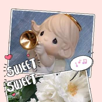 Chopinさんのエンジェル祭り❤の画像 by momoさん | 小さな庭と癒やしとばら バラ 薔薇とありがとう♡とお庭のお花とアイスバーグ！とやっぱり白花とエンジェル祭りと白い花とお花は癒しとChopinさんのエンジェル祭り❤
