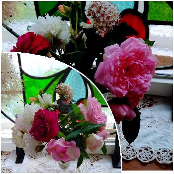 良い香りの花の画像 by ここさん | 窓辺と薔薇☆と切花と良い香りの花とミニバラ♡とおうち園芸と薔薇、我家とツルバラ☆と収穫♪