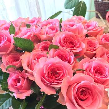 記念日の画像 by ki★yoさん | 記念日と薔薇♪と花のある暮らしと優しい気持ち
