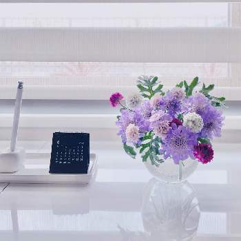 プランターガーデンの画像 by ＊ KL ＊さん | 窓辺とシロタエギクとプランターガーデンとpurpleと曇り空とpinkとルーフバルコニーの花