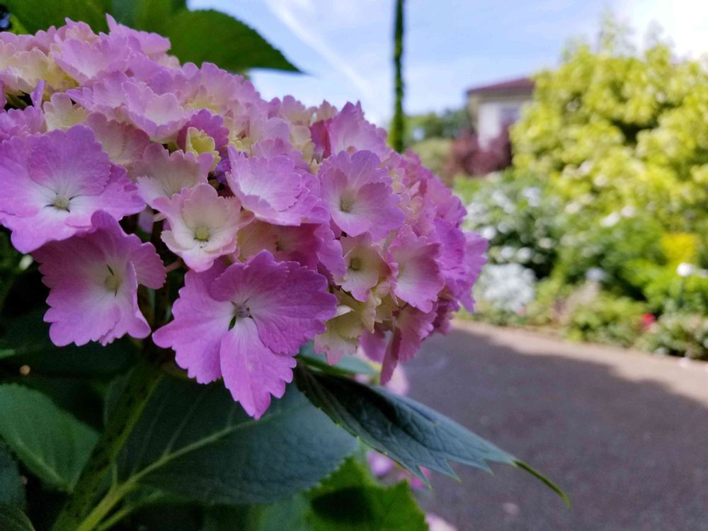 エリィさんの港の見える丘公園への投稿