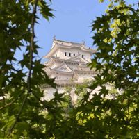 モミジ,This morning!,城郭・天守閣,世界遺産・姫路城,住めば都・姫路の画像