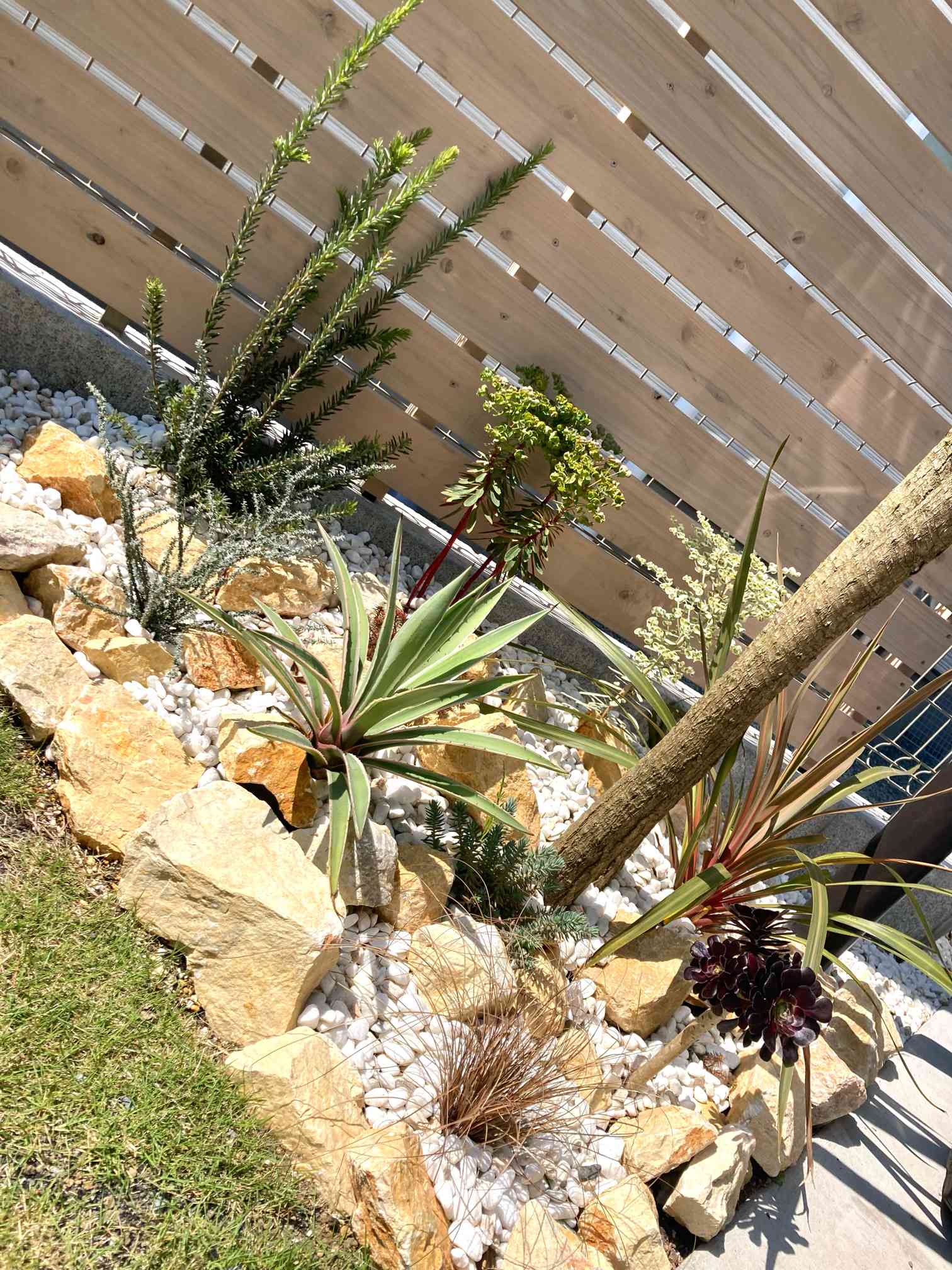 ナチュラルロックガーデン造りました✨｜🍀GreenSnap（グリーンスナップ）