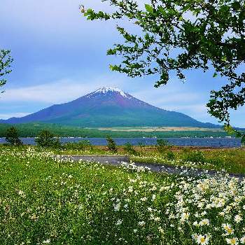 美しい自然の画像 by misaoiさん | お出かけ先と美しい自然と山中湖