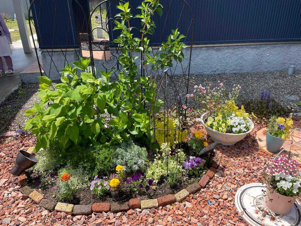 北〜東側の花壇を作る｜🍀GreenSnap（グリーンスナップ）