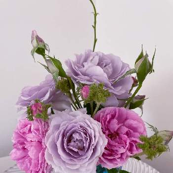 ブルーバユーの画像 by merryさん | 部屋とブルーバユーとシャポー・ドゥ・ナポレオンとお花のある暮らしとバラが好き♡と毎年咲く花