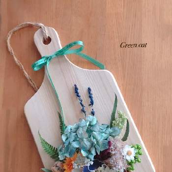 はなかんざしの投稿画像一覧 Greensnap グリーンスナップ