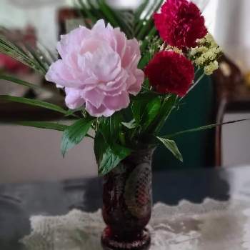 芍薬の花の画像 by ゆうこ♥️さん | キッチンと芍薬の花とカーネーション♡