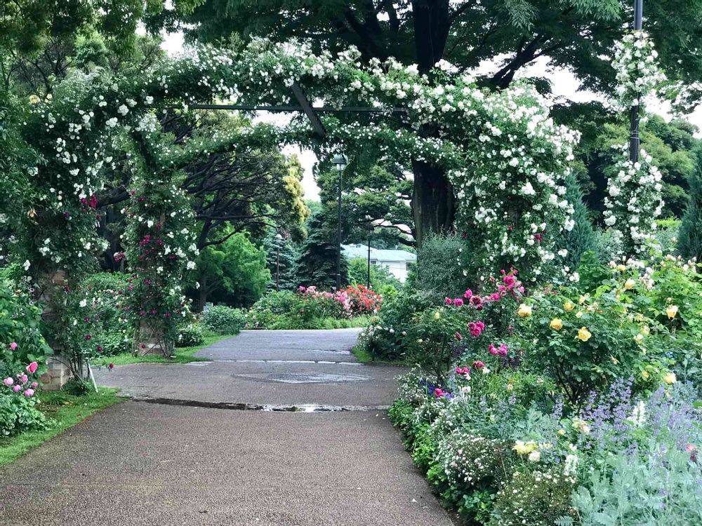 nyacoさんの港の見える丘公園への投稿