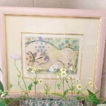 白菊の画像 by 39さん | 部屋とかすみ草と白菊とセネシオ・エンジェルウイングスとマトリカリアとランタナとブルーレースフラワー（ディディスカス）と八重咲きガーベラとガーベラ