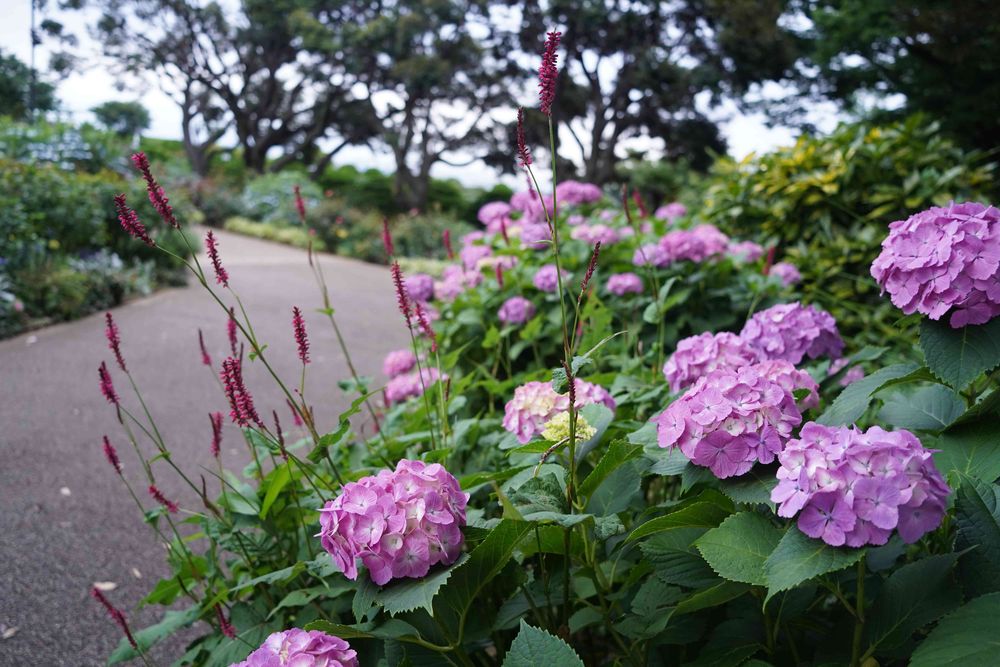 ウッチーナさんの港の見える丘公園への投稿