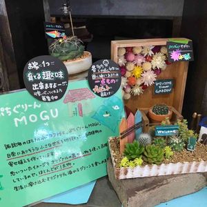 多肉植物,フラワーアレンジメント,ハンドメイド,多肉箱庭,ガーデンピックの画像