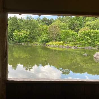 昭和記念公園の画像 by harunohoshiさん | お出かけ先と昭和記念公園と日本庭園と花のある暮らし