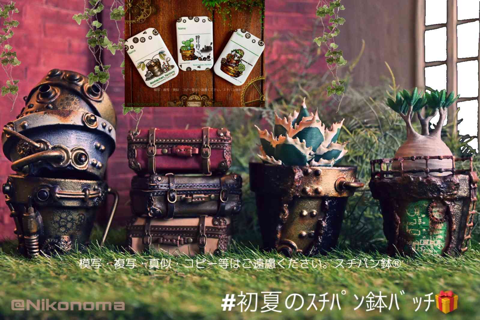 部屋の投稿画像 by Nomachanさん｜多肉植物とリメ鉢と多肉のある暮らし