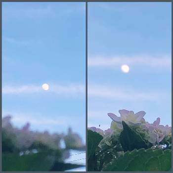 心ときめく☆の画像 by グリーンスムージーさん | いつもありがとう❣️と雲仲間とちっちゃな幸せとアジサイ　紫陽花と心ときめく☆とお月様と…