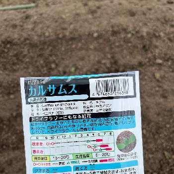 タキイ種苗の画像 by Seiko@garden2さん | 畑と紅花とタキイ種苗と家庭菜園奮闘日記と畑のなかま