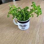 グッデイの一覧 Greensnap グリーンスナップ