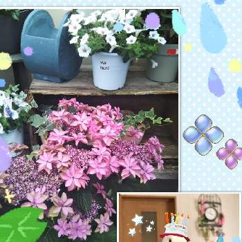 毎月15日はインコの日の画像 by きき子さん | 花のある暮らしとチーム愛知とセキセイインコのクッカと毎月15日はインコの日