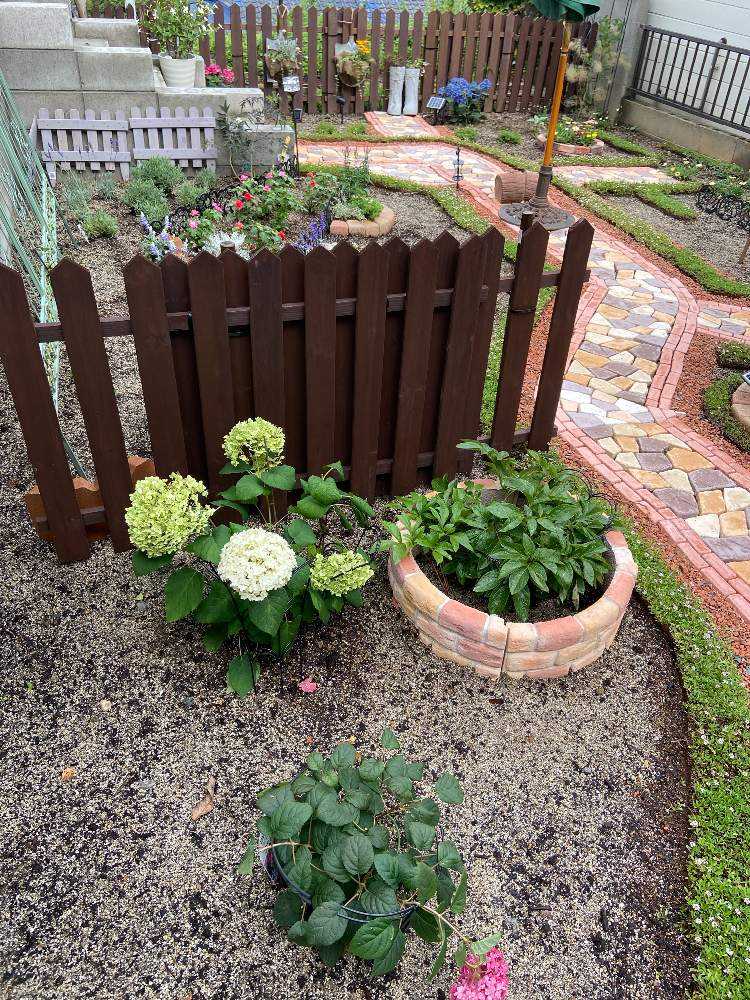 わたしにも出来た‼︎自分だけのお庭づくり𑁍🍃✿ ✿🍃 ｜🍀GreenSnap