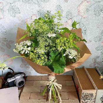 ハナカジの画像 by メルシーフラワーさん | 花のある空間とスーパーマーケットの花とスーパーの花屋さんと癒しと花を飾るとスーパーの切花とハナカジとメルシーフラワーと花のある暮らしとこころを花にかえてと花束