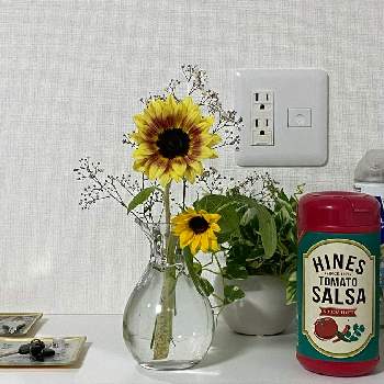 一人暮らしの画像 by H1207さん | インテリアとひまわりとヒマワリと一人暮らしと花のある暮らしと花を飾ると息子の部屋
