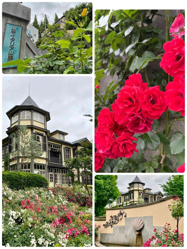 あーちゃんさんの山手イタリア山庭園への投稿