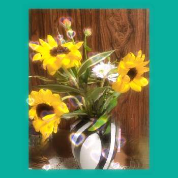 愛と平和の画像 by コロコロロさん | 部屋とヒマワリとビタミンカラーと父の日と幸せの黄色いお花と愛と平和