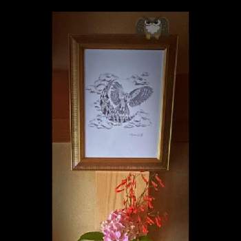 アジサイの花の画像 by Kazyanさん | 部屋と花丁字&紫陽花とアジサイ　紫陽花とアジサイの花とハナチョウジ:花丁字　和堂と万葉の中庭シリーズ　和堂