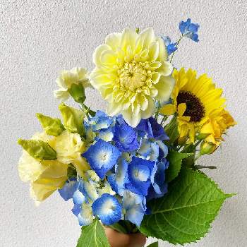 ハナカジの画像 by メルシーフラワーさん | スーパーマーケットの花とスーパーの花屋さんとスーパーの切花とハナカジとメルシーフラワーと花のある暮らしとこころを花にかえてと父の日と花束